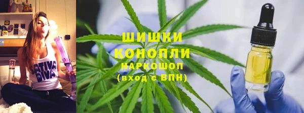 дживик Белокуриха