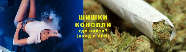 дживик Белокуриха