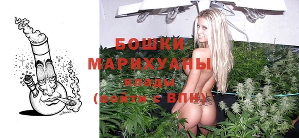 дживик Белокуриха