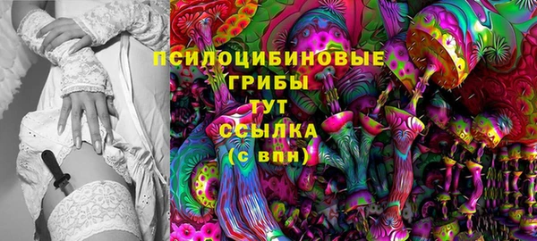 дживик Белокуриха