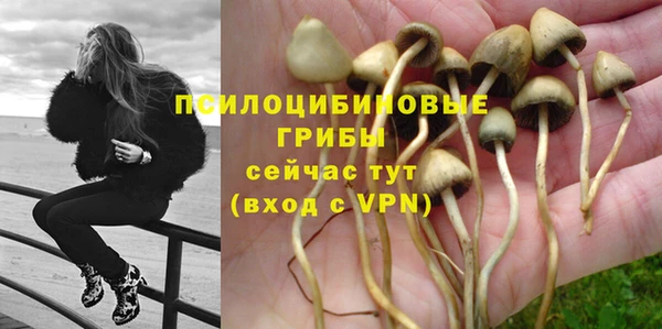 spice Нягань